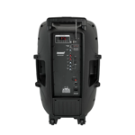 Imagen de CAJA ACUSTICA LEXSEN TRO15CBAT     C BATERIA