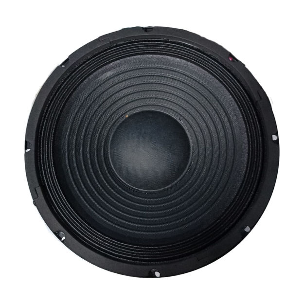 Imagen de PARLANTE 10" 150W