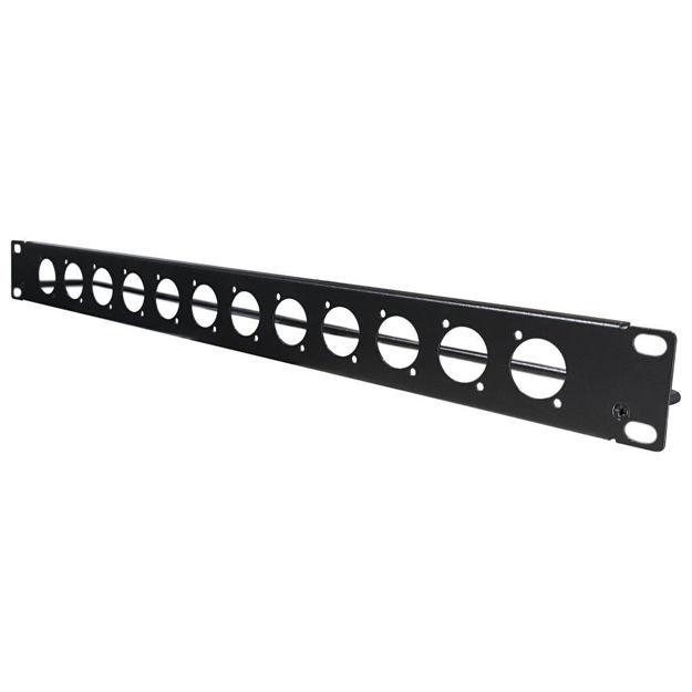 Imagen de TAPA DE RACK DE 12 CONECTORES GCP-12C
