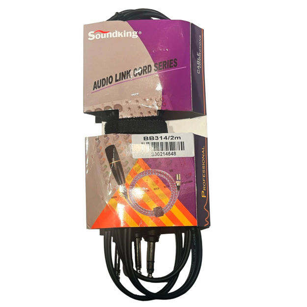 Imagen de CABLE ADAPTADOR SOUNDKING  6,3ST A 2X 6,3 2 METROS