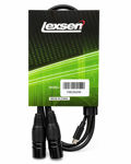 Imagen de CABLE ADAPTADOR LEXSEN 2 XLR CANON A 1 USB-C