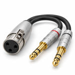 Imagen de Cable En Y Zebra Xlr Hembra A 2 Plug 1/4 St