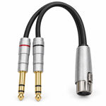 Imagen de Cable En Y Zebra Xlr Hembra A 2 Plug 1/4 St